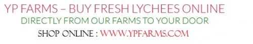 YP Farms - Buy Fresh Litchi