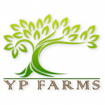 YP Farms