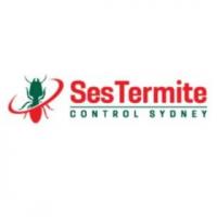 Termite Control Sydney