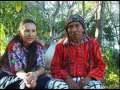 The Mayan New Dawn